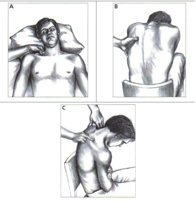 Figura 2 - Posicionamento do sujeito para a palpação do músculo trapézio.   