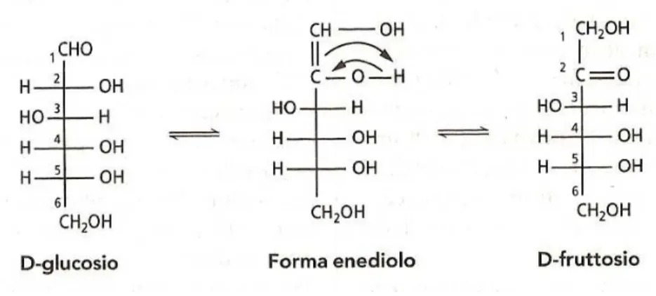 Figura 8 - Epimerização da glicose em frutose por enolização 
