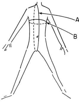 Figura 1: Posição da medida da coluna vertebral  Fonte: Dworkin,1985 