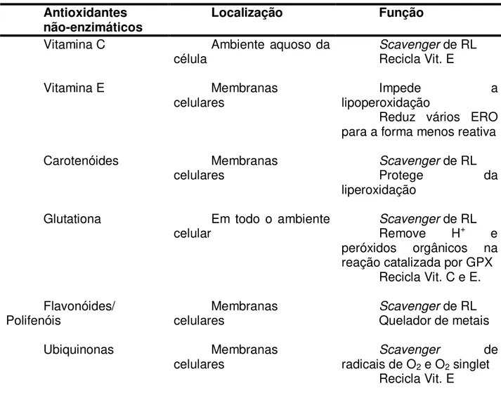 Tabela 2  –  Principais antioxidantes não-enzimáticos (Fonte: KÖNIG e BERG, 2002)  Antioxidantes  