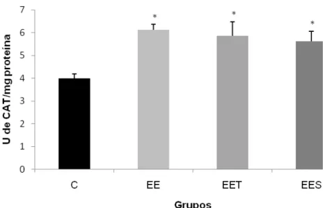 Figura  7:  Atividade  da  CAT  no  músculo  do  quadríceps  de  ratos  após  uma  sessão  de  exercício  excêntrico:  grupo  controle  (C),  grupo  exercício  excêntrico    (EE),  grupo  exercício excêntrico  com suplementação de taurina (EET) e grupo exe