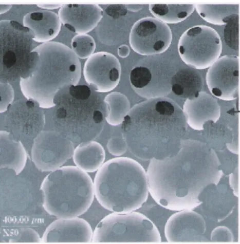 Figura 10: Micrografia eletrônica de varredura da seção transversal de espuma de PU  flexível – densidade 0,19 g.cm -3  (Mills et al., Composites Science and Technology, 2003,  p.2390)