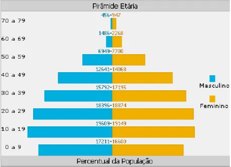 Figura 2 Pirâmide Etária cidade de São José – SC. Fonte: IBGE, 2000. 