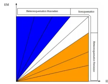 Figura  1  -  Grupos  Tipológicos  dos  Esquemas  de  Gênero  do  Autoconceito no Modelo Interativo 