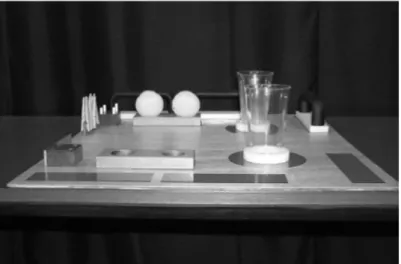 Figura 8 - Plataforma e materiais para realização do teste de O'Neill. (Fonte: FOWLER &amp; NICOL, 2001) 