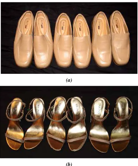 Figura 7-  Imagens dos calçados usados nas coletas de dados. (a) Calçado1(b); Calçado 2
