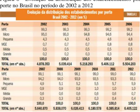 Figura  6  -  Evolução  da  distribuição  dos  estabelecimentos  por  porte no Brasil no período de 2002 a 2012  