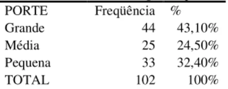 Tabela 3: Porte das organizações  PORTE  Freqüência  % 