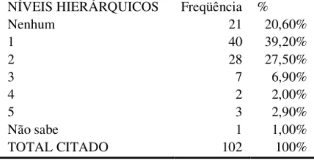 Tabela 6: Níveis hierárquicos entre o entrevistado e o executivo mais alto  NÍVEIS HIERÁRQUICOS  Freqüência  % 