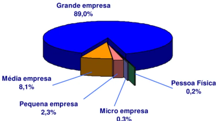 Gráfico 7: Exportação Brasileira por Porte de Empresa  Participação % sobre o Valor Brasileiro de  Exportação de 2004 