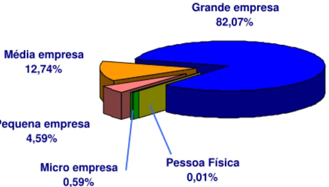 Gráfico 9: Exportação Catarinense por Porte de Empresas - Participação % sobre Valor de Exportação  Catarinense de 2004 