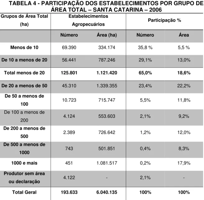 TABELA 4 - PARTICIPAÇÃO DOS ESTABELECIMENTOS POR GRUPO DE  ÁREA TOTAL – SANTA CATARINA – 2006 
