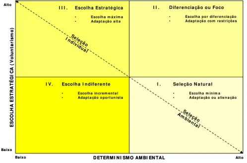 Figura 3 – Relação  entre  a  escolha  estratégica  (voluntarismo)  e   o   determinismo   ambiental   na                  adaptação organizacional