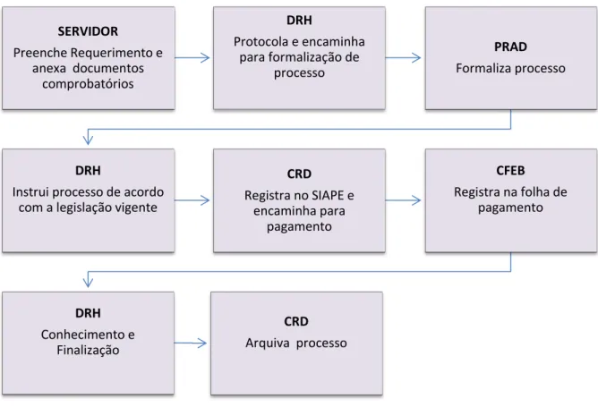 FIGURA 10 -  PROCEDIMENTO AUXÍLIO NATALIDADE 