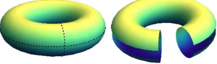 Figure 7: Dissecando um toro