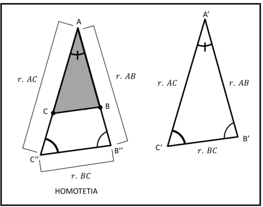 Figura 10 – Triângulos semelhantes têm ângulos iguais e lados homólogos proporcionais
