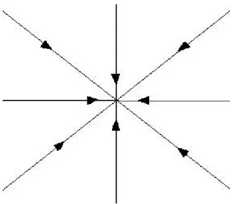 Figura 2.5: Ponto Estrela.