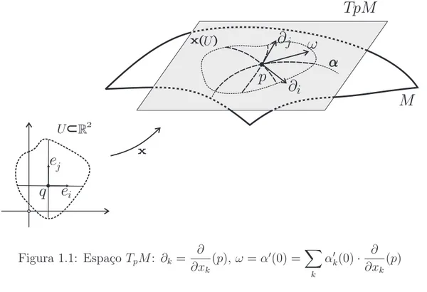 Figura 1.1: Espa¸co T p M : ∂ k = ∂ ∂x k (p), ω = α ′ (0) = X k α ′ k (0) · ∂ ∂x k (p)