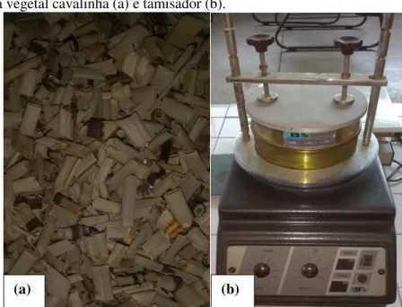 Figura 7 - Droga vegetal cavalinha (a) e tamisador (b). 