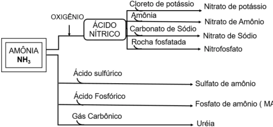 Figura 6. Processos para obtenção de diferentes fontes de Nitrogênio, utilizando  amônia (NH3) como matéria prima