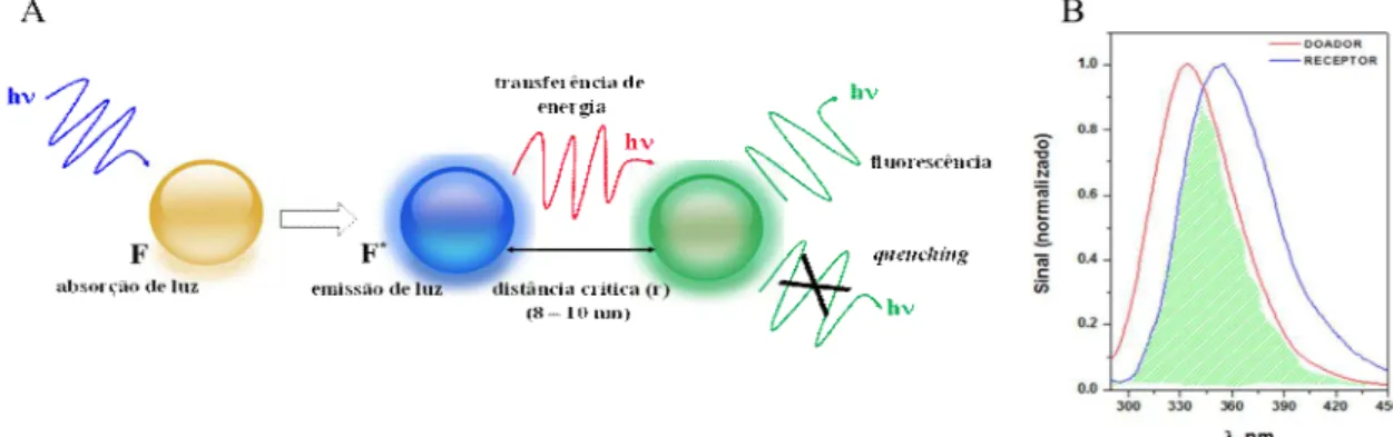 Figura  5  -  (A)  Representação  genérica  de  um  sistema  com  transferência  de  energia  e  (B)  Representação gráfica da transferência de energia entre um doador e aceptor