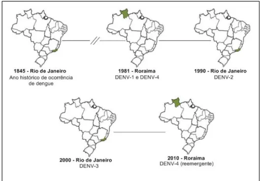Figura 7  –  Locais das primeiras ocorrências de infecção por diferentes sorotipos de  dengue no Brasil 