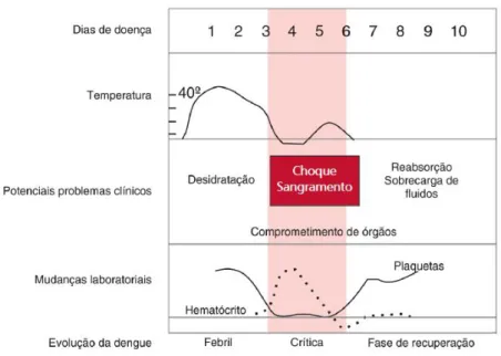 Figura 9  –  Evolução clínica e laboratorial da dengue 