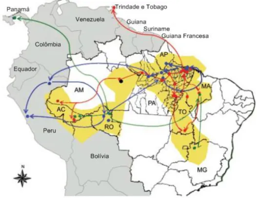 Figura 13  –  Dispersão geográfica dos genótipos do vírus Oropouche na América do Sul,  baseado em dados do gene N, no período de 1995 a 2009 