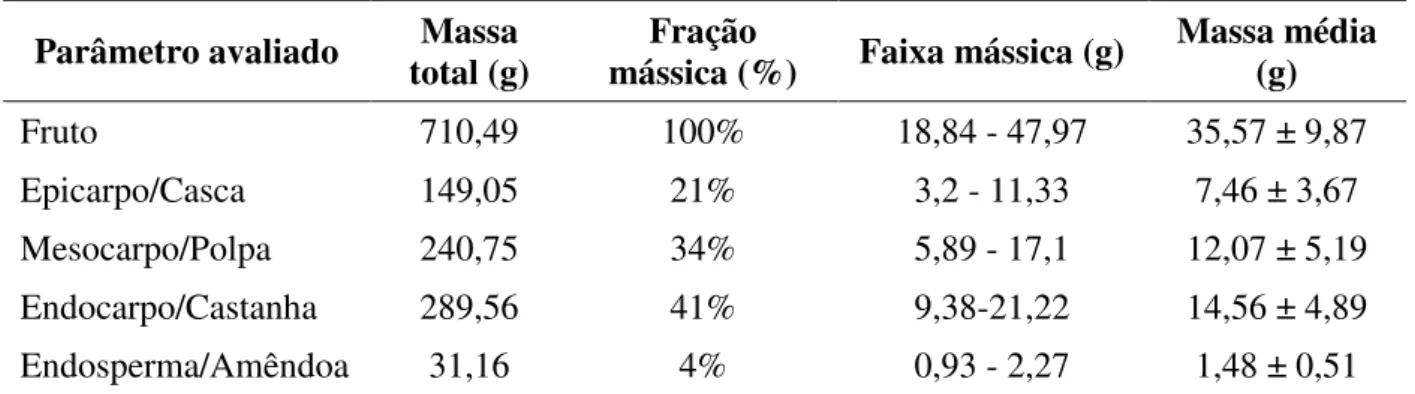 Tabela 6 – Caracterização biométrica do fruto da macaúba  Parâmetro avaliado  Massa 
