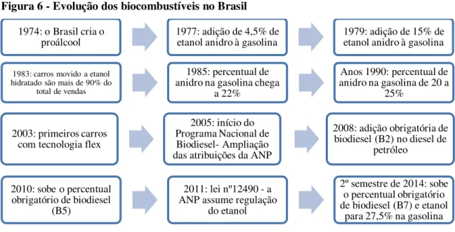 Figura 6 - Evolução dos biocombustíveis no Brasil 