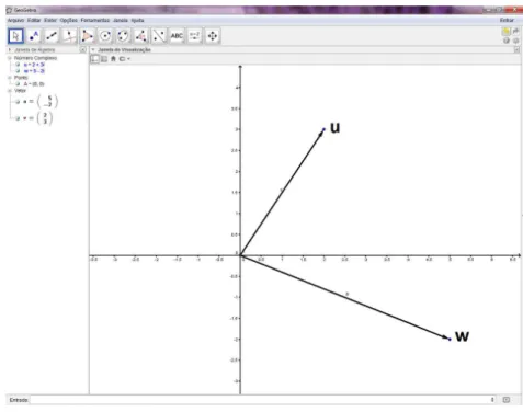 Figura 24: Vetores u e w