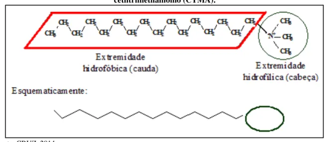 Figura 6  –  Representação esquemática do cátion de uma molécula de surfactante de  cetiltrimetilamônio (CTMA).