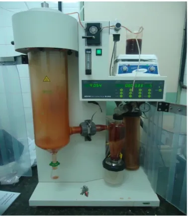 Figura  2.  Atomização  (spray-drying)  das  formulações  a  base  de  própolis  vermelha