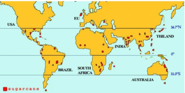 Figura 1: Distribuição Global do Cultivo Canavieiro. 