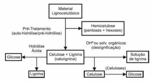 Figura 10: Separação dos componentes lignocelulósicos. 
