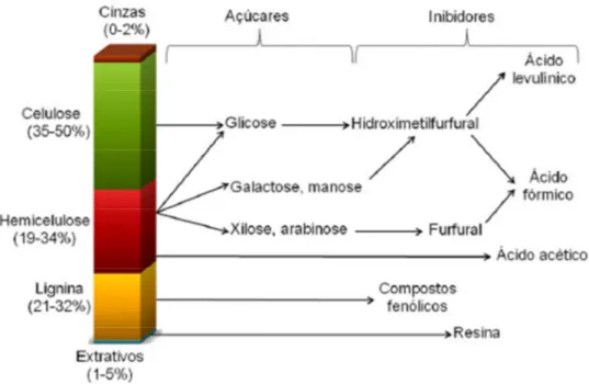 Figura 11: Formação dos compostos inibitórios. 