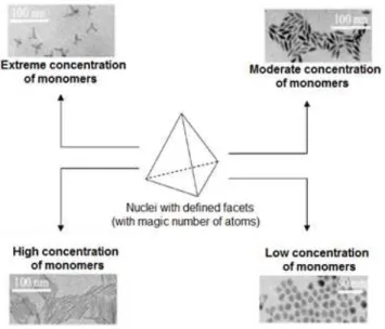 Figure  9  -Possibilities  of  the  growth  of  nanocrystals  as  function  of  the  monomer  concentration in the system
