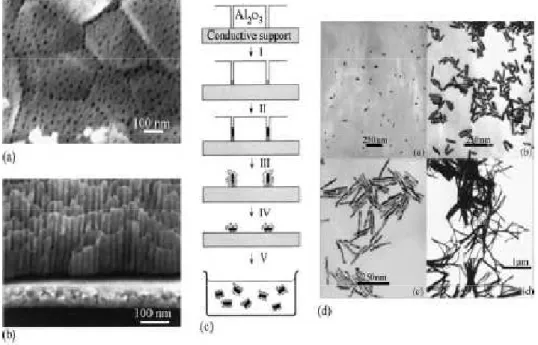 Figure  17  -  (a  and  b)  FEG–SEM  images  of  an  alumina  membrane.  (c)  Schematic  representation  of  the  successive  stages  during  formation  of  gold  nanorods  via  the  template  method