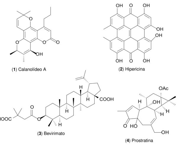 Figura 1: Substâncias isoladas de plantas inibidoras do HIV testadas clinicamente.