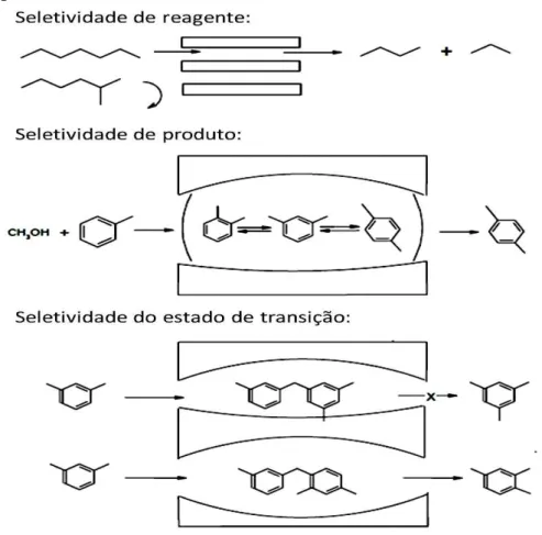 Figura 4 – Tipos de seletividade.