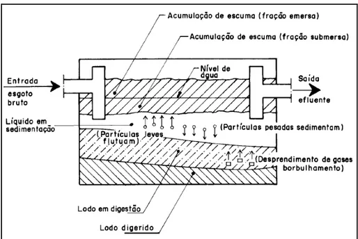 Figura 20: Ilustração do funcionamento de um tanque séptico  Fonte: NBR 7229/ 1993. 
