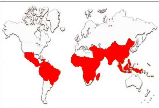 Figura  01:  Distribuição  da  Malária,  área  vermelha,  nas  áreas  continentais  do  globo  terrestre