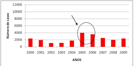 Figura 06 - Total anual de casos de Malária de Boa Vista-RR. 