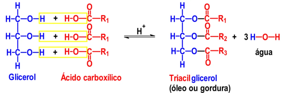 FIGURA 1. Estrutura do triacilglicerol 