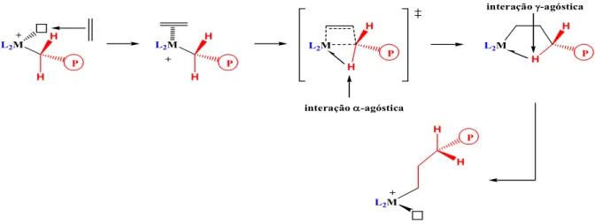 Figura 2.4. Mecanismo de polimerização com a introdução da interação agóstica.