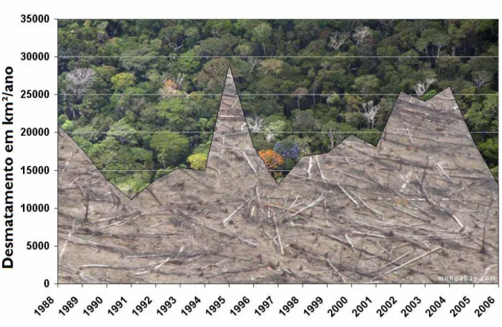 Figura 1. Gráfico do Desmatamento na Amazônia, de 1988 a 2006. Fonte: Instituto Nacional de Pesquisas Espaciais  (INPE) – Gráfico de R