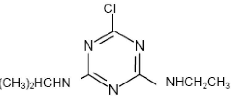 Figura 1. Estrutura química da atrazina (KLEINSCHMITT, 2007). 