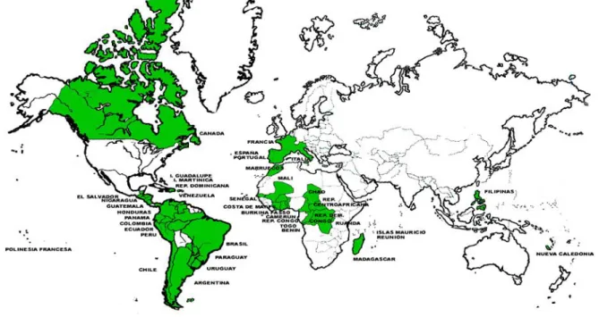 Figura 5 – Os CEFFAS nos cinco Continentes. 
