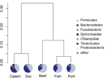 Fig 1. Relative abundance of gut bacteria at the phylum level. Pie charts show the composition of gut bacteria at the phylum level