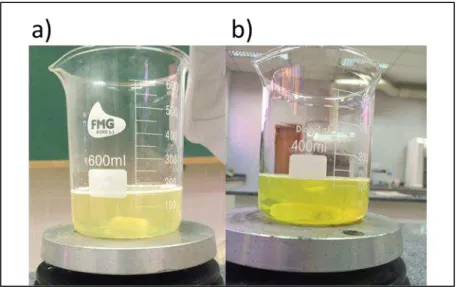 Figura 16: a) Gel MAGIC-f sem fluoresceína; b) Gel MAGIC-f com fluoresceína. 